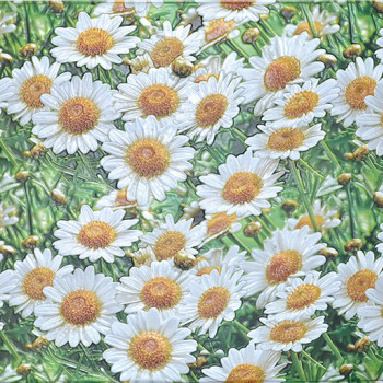 Панель ПВХ Grace Ромашкі 602х1020 мм