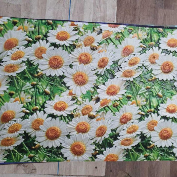 Панель ПВХ Grace Ромашкі 602х1020 мм